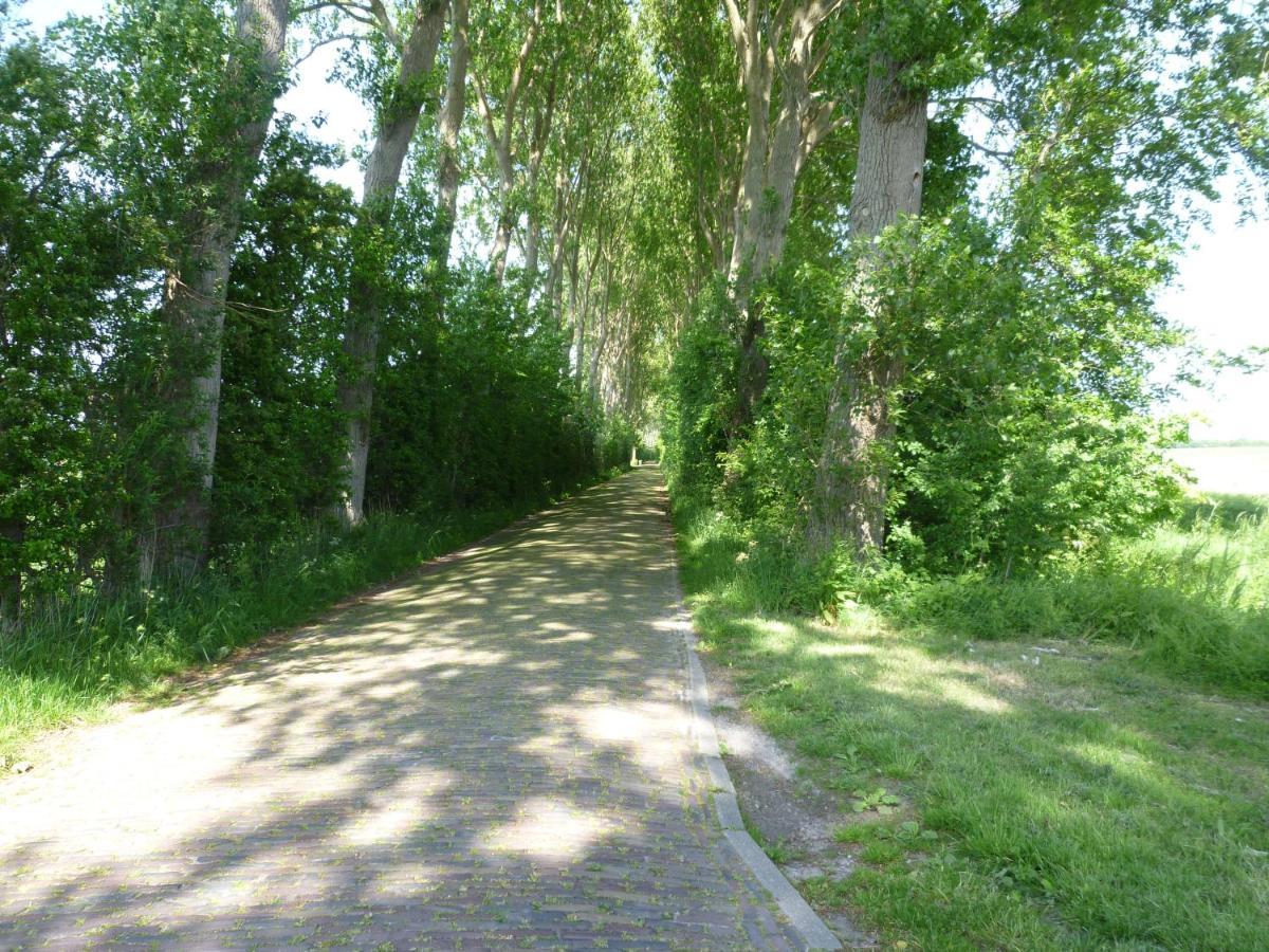 Vakantiewoning Domburg Do31 المظهر الخارجي الصورة