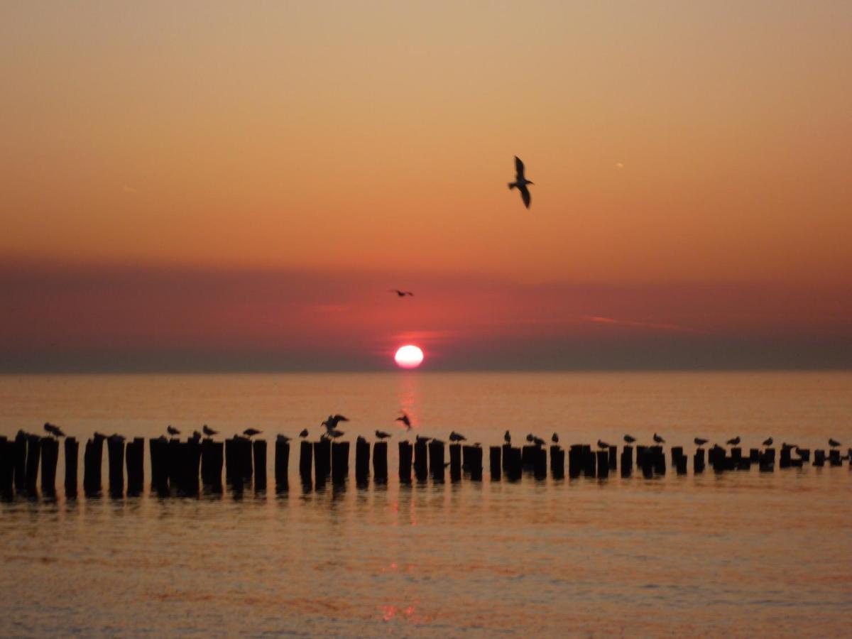 Vakantiewoning Domburg Do31 المظهر الخارجي الصورة